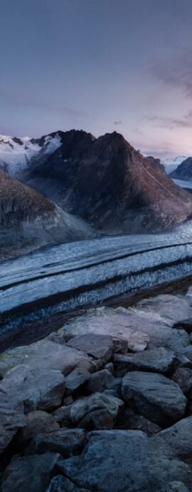 Gallery Mixed Grid Wide